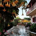 Electra's Seaside *