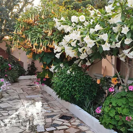 Electra's Seaside 아파트 아기오스 게오르기오스